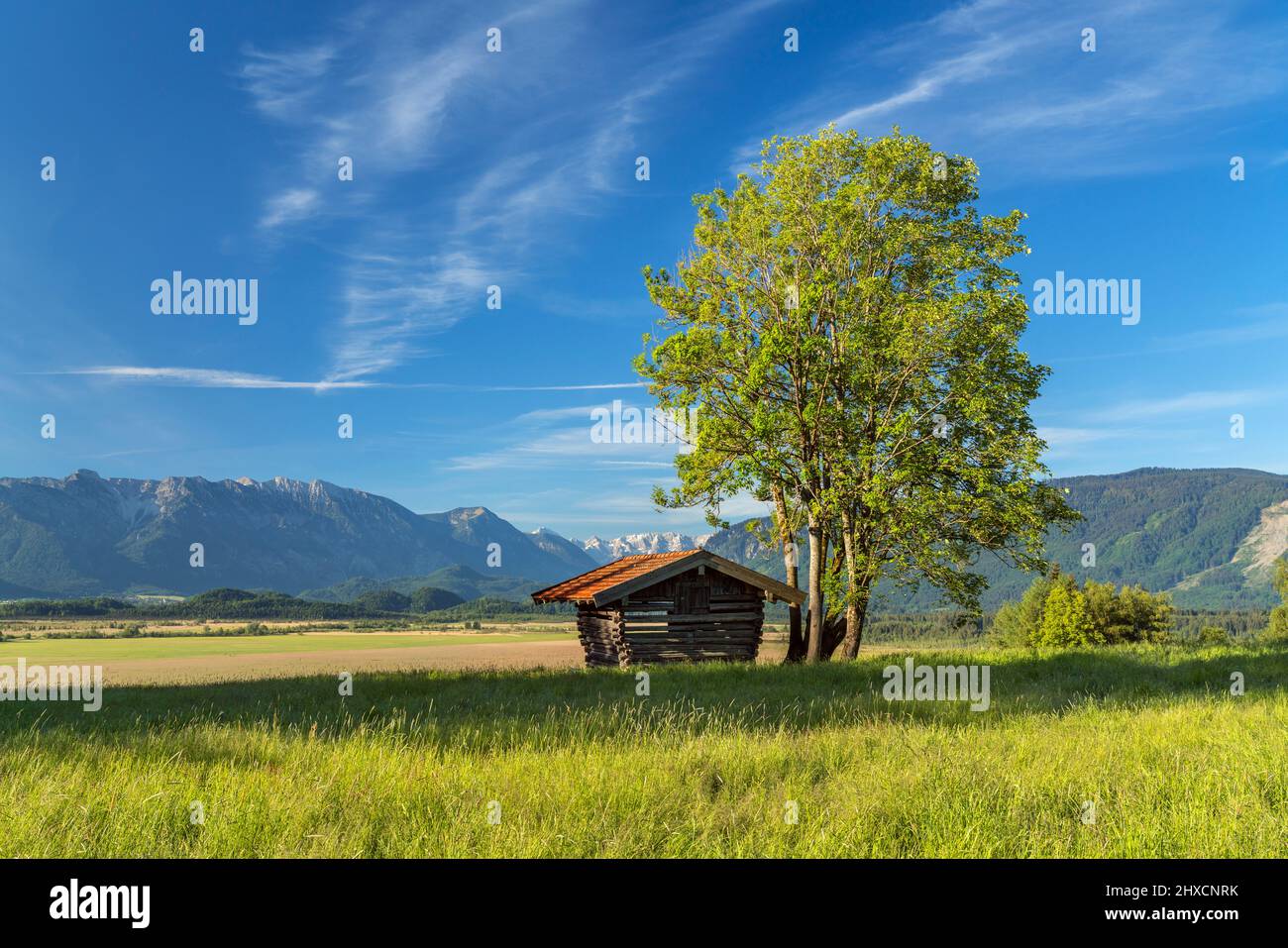 Hütte in Murnauer Moos mit Blick auf die bayerischen Alpen, Murnau, Oberbayern, Deutschland Stockfoto