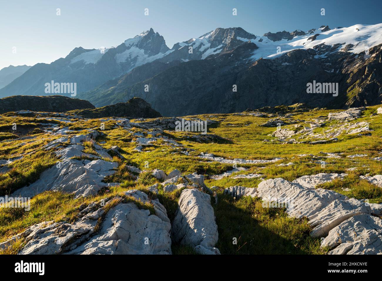 La Meije aus Plateau d'Emparis, Rhones Alpes, Hautes-Alpes, Frankreich Stockfoto
