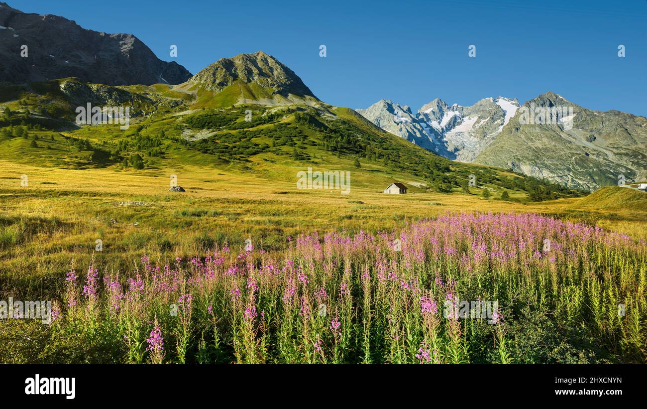 La Meije des Col du Lautaret, Rhones Alpes, Hautes-Alpes, Frankreich Stockfoto