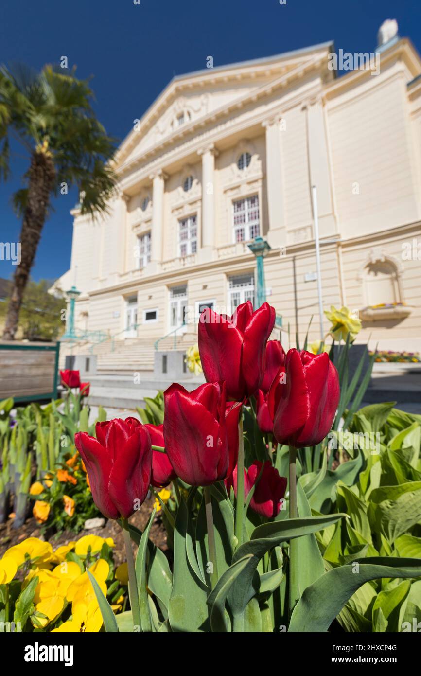 Blumen vor dem Stadttheater, Baden bei Wien, Niederösterreich, Österreich Stockfoto