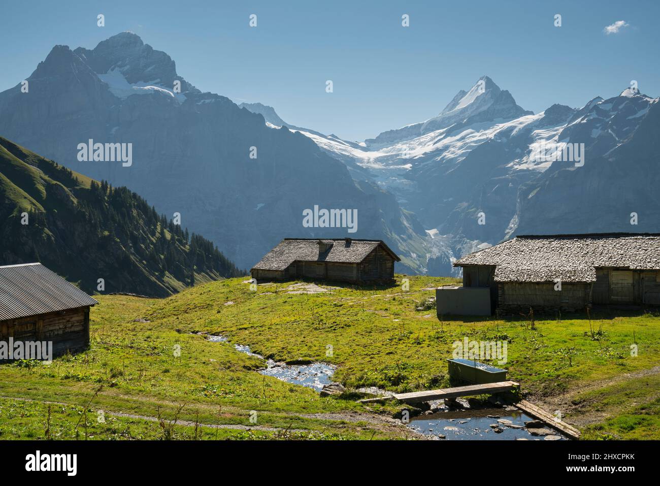 Schreck-, Grindelwald, Berner Oberland, Schweiz Stockfoto