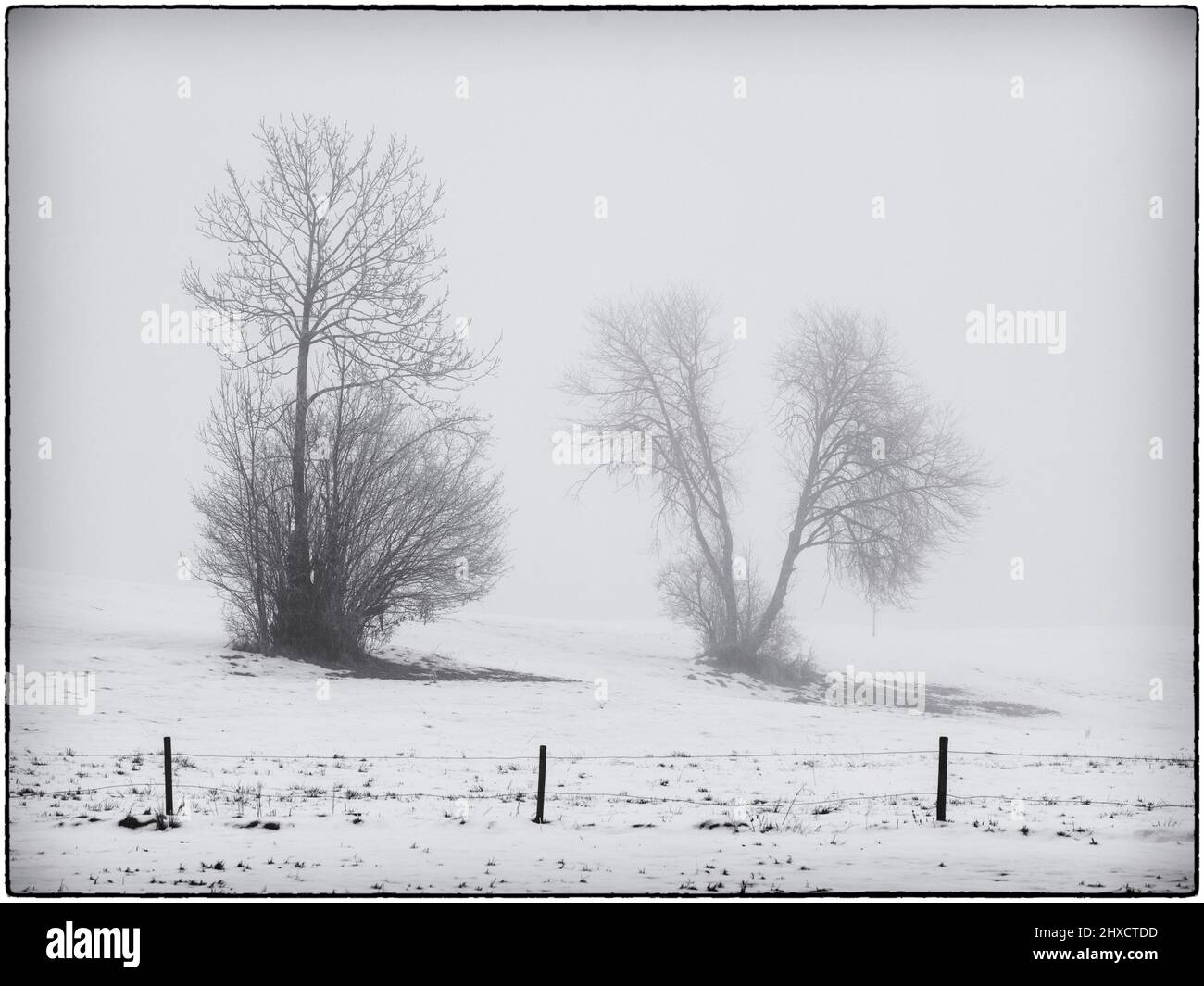 Winter in Ostallgäu Stockfoto