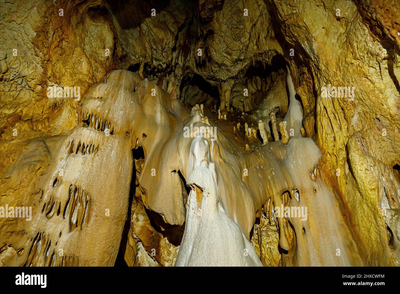 Die Bärenhöhle pestera ursilor bei chiscau in rumänien Stockfoto