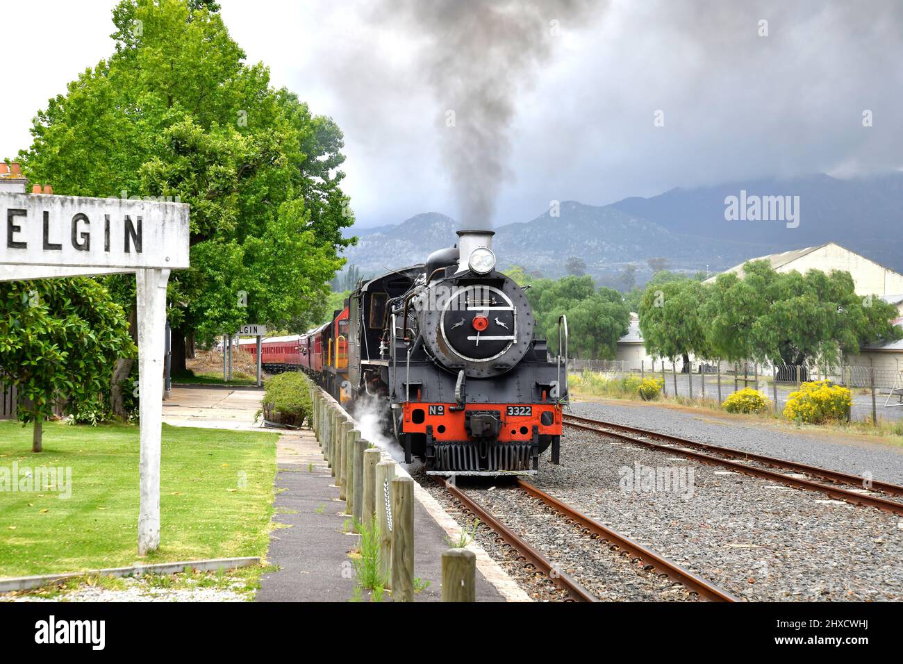 Dampflokomotive beim Betreten der Elgin Station, Westkap, Südafrika. Stockfoto