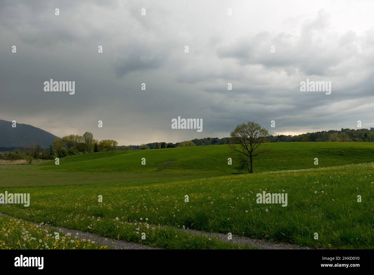 Gewitter, Wolken, Berge, oberbayern, murtau, Feder Stockfoto