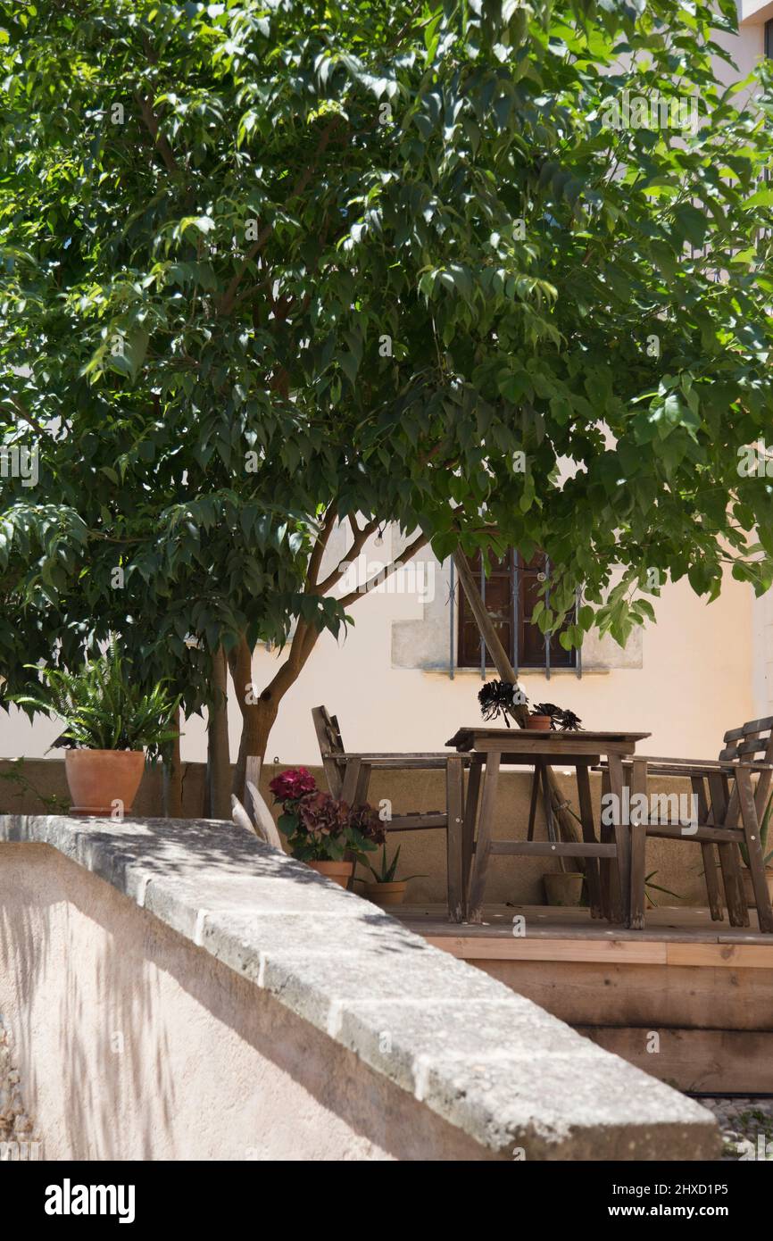 Schattiger Sitzplatz unter einem Baum in der Altstadt von Sineu auf Mallorca, Spanien Stockfoto