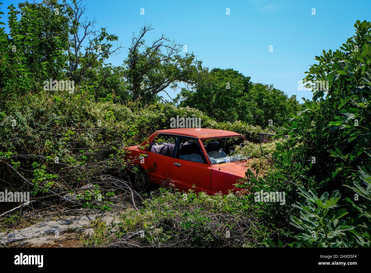 Theologos, Thassos, Griechenland - im Bergdorf Theologos auf der Insel Thassos steht in der Landschaft ein alter, rostroter Schrottwagen, der langsam von Pflanzen bewachsen wird. Stockfoto