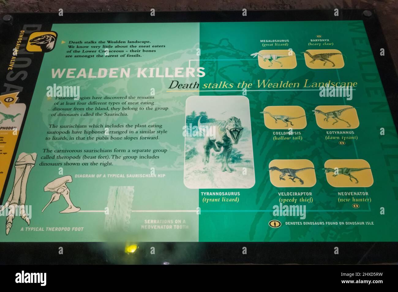 England, Isle of Wight, Sandown, Dinosaur Isle Museum, Informationboard zur Beschreibung der Dinosaurier-Gruppe der Mörder von Wealden Stockfoto
