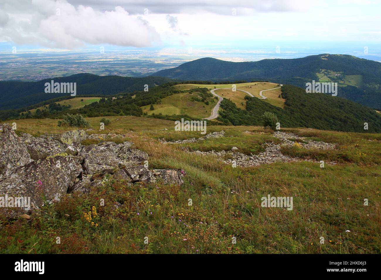 Mit der Ebene des Elsass im Hintergrund windet sich die Straße, die zum Radar des Grand Ballon führt, durch die Vegetation (Vogesenmassiv, Haut Rhin, Frankreich) Stockfoto