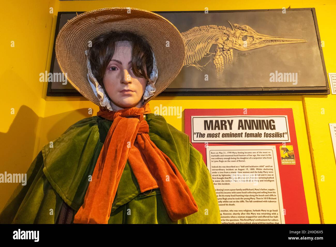 England, Dorset, Dorchester, das Dinosaur Museum, Statue of Mary Anning the Famous Female Fossilist Stockfoto