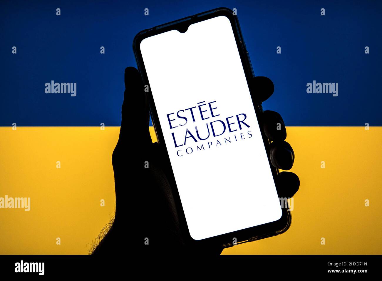 In dieser Abbildung ist ein Logo von Estee Lauder Companies zu sehen, das auf einem Smartphone mit einer ukrainischen Flagge im Hintergrund abgebildet ist. Stockfoto