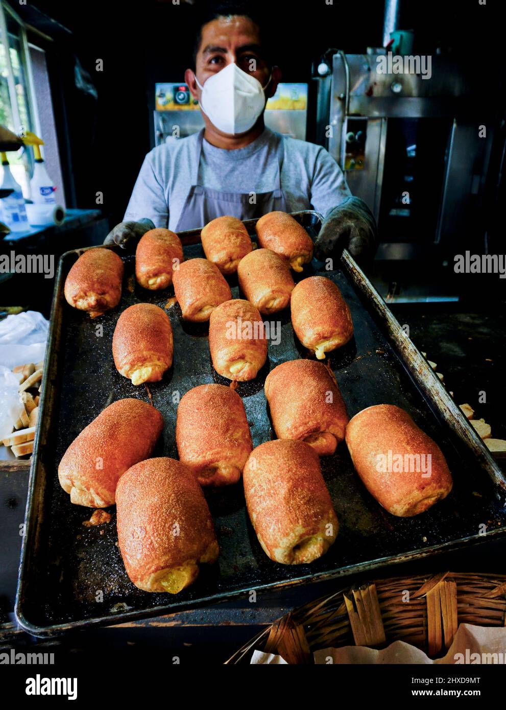 Croissant-Crema-Pasteleras in einem von Frauen geführten handwerklichen Brotladen, L'Artista, in der hippen Gegend von La Condesa, Mexiko-Stadt, Mexiko Stockfoto