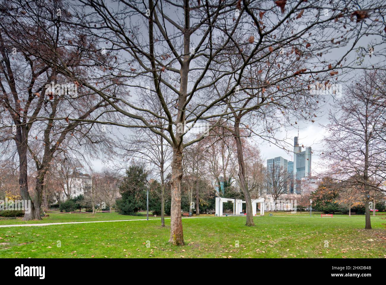 Metzlerpark, Museumsufer, Schaumainkai, Park, Skyline, Wolkenkratzer, Sachsenhausen, Frankfurt am Main, Hesssen, Deutschland, Europa Stockfoto