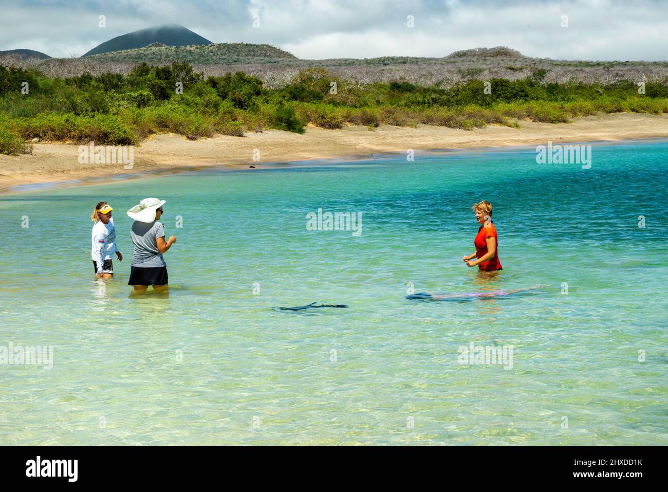 Touristen spielen mit einem Seelöwen in der Post Office Bay, Isla Floreana, Galapagos Islands, Ecuador. Stockfoto