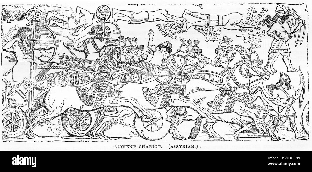 Gravur eines alten assyrischen Streitwagens Stockfoto