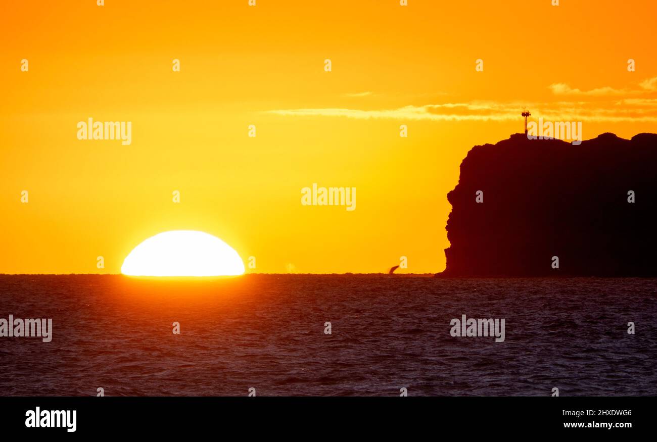 Maui, Hawaii, USA. 4. März 2022. Ein Wal bricht, als die Sonne hinter Molokini untergeht, ist ein halbmondförmiger, teilweise untergetaucht vulkanischer Krater, der eine kleine, unbewohnte Insel zwischen den Inseln Maui und KahoÊ»olawe innerhalb von Maui County bildet. Die Gegend ist ein beliebter Tauch- und Schnorchelplatz. (Bild: © K.C. Alfred/ZUMA-Pressdraht) Stockfoto