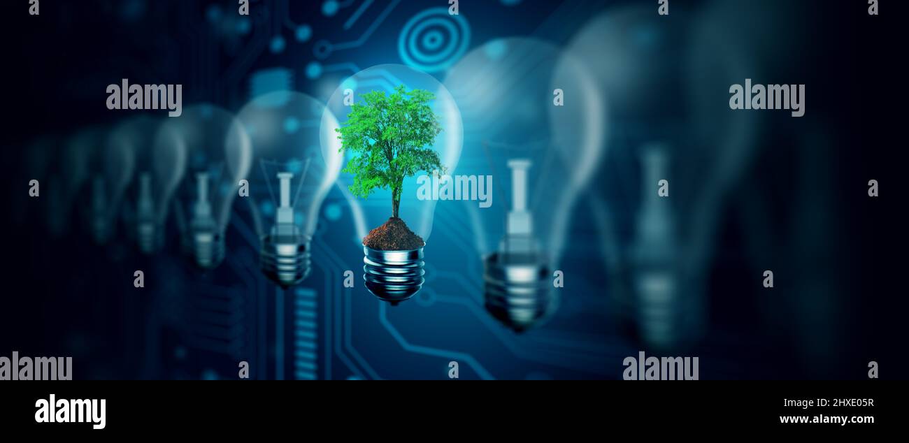 Glühbirne gegen die Natur mit digitaler Konvergenz und Technologie Hintergrund. Konzept für Ökologie, Energie, Umwelt, Grüne Technologie und IT-Ethik. Stockfoto