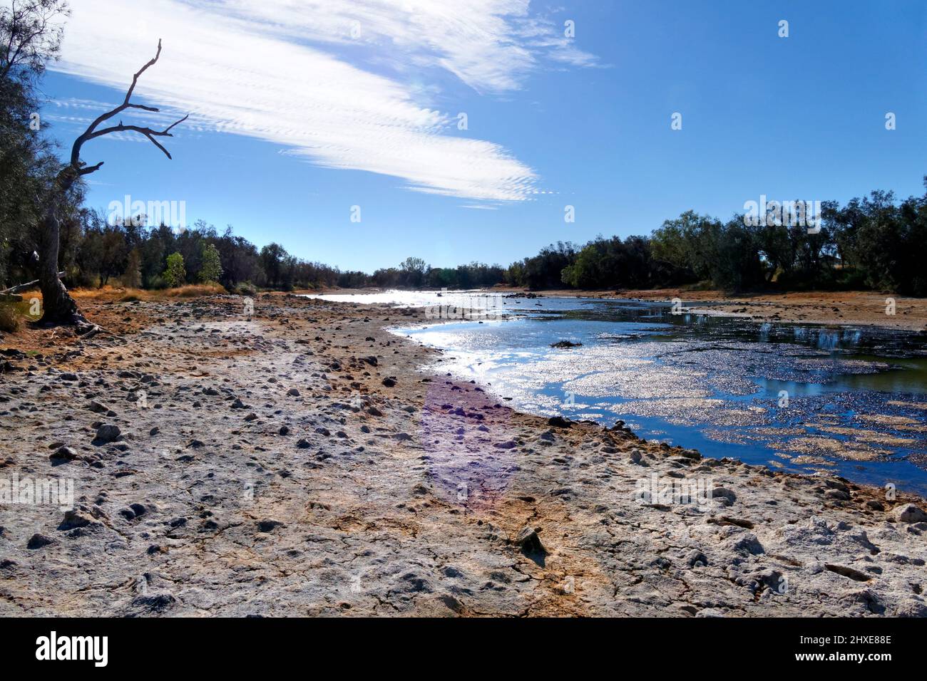 River Murchison, Murchison, Westaustralien Stockfoto