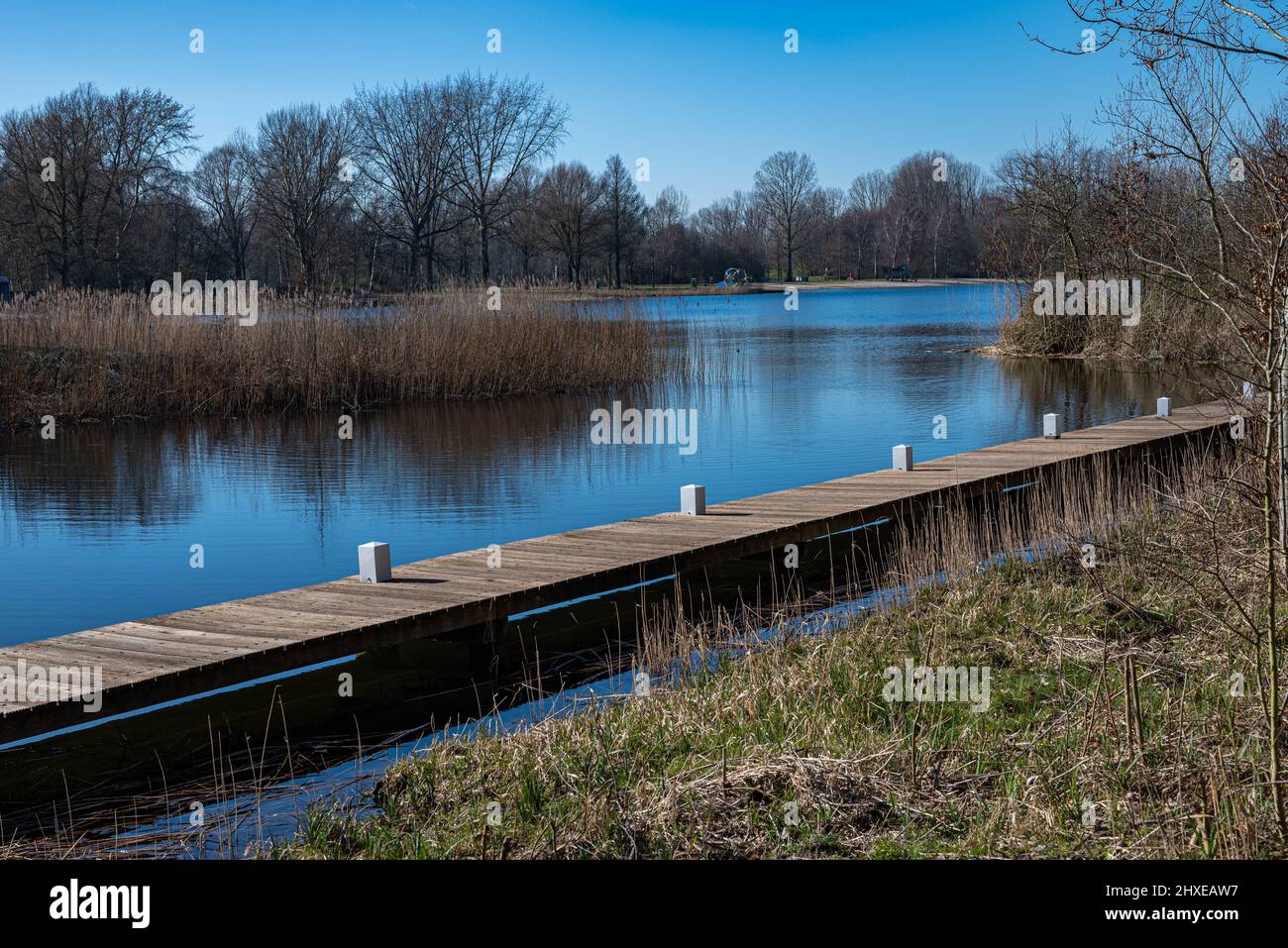 Anlegestelle an einem bunten schönen See während der Frühjahrssaison im Park Haarlemmermeerse bos in Hoofddorp, Niederlande Stockfoto