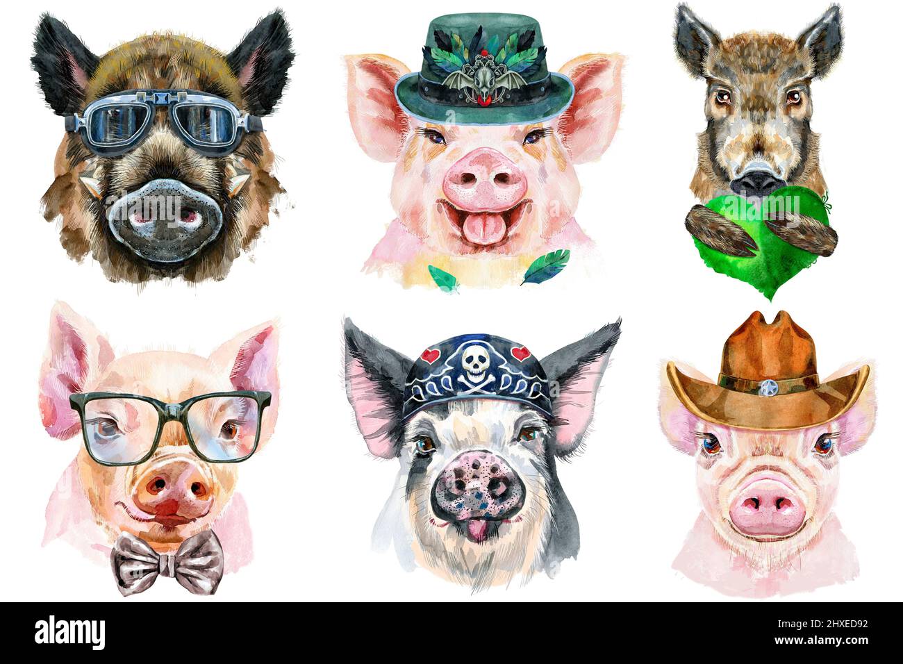 Aquarell-Illustration von Schweinen in Gläsern, Hut, Bandana, Cowboyhut und mit grünem Herzen Stockfoto