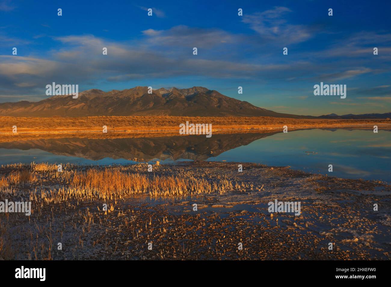 Die Blanca Wetlands im San Luis Valley Stockfoto