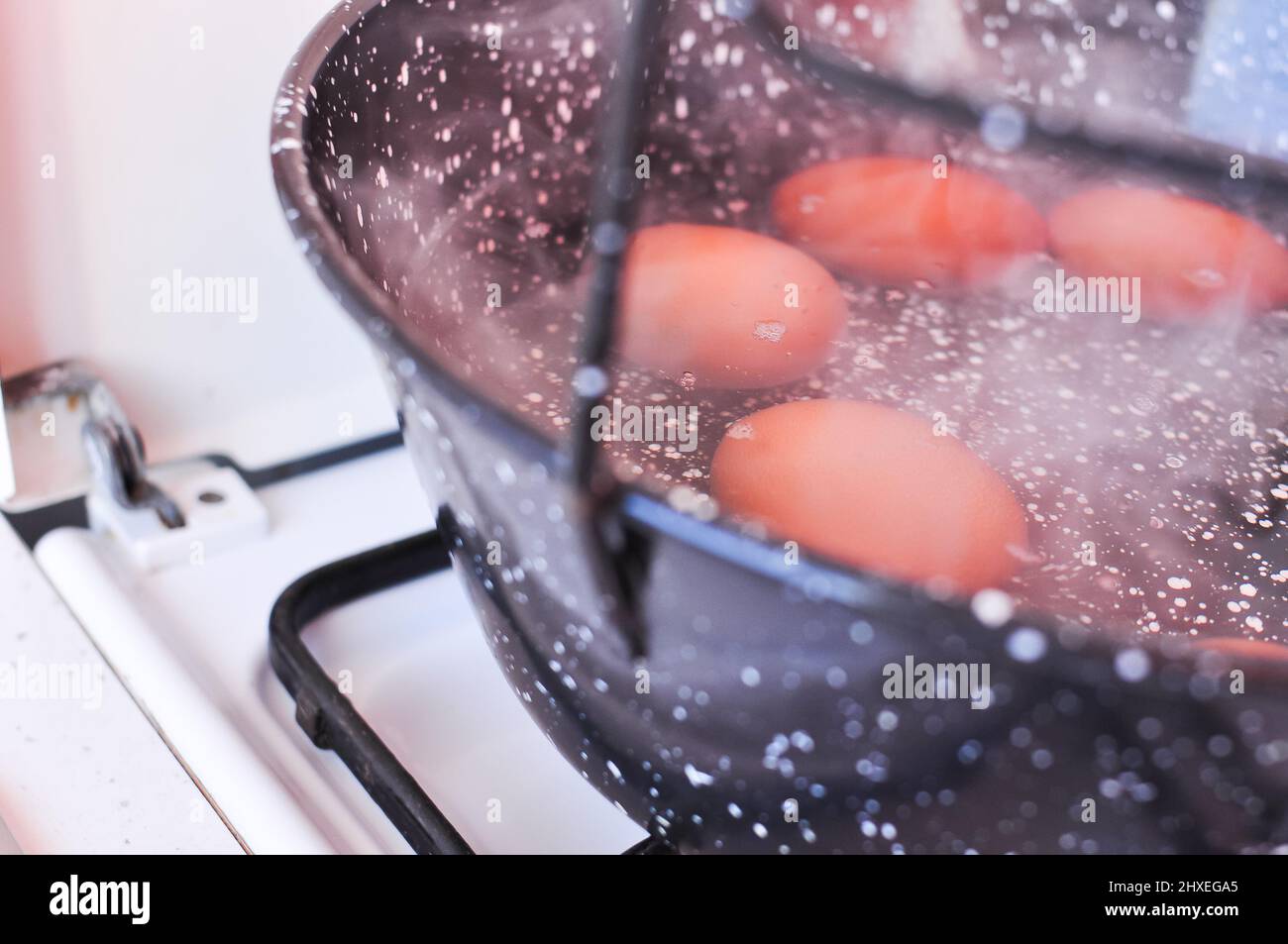 Eier in Schale in kochendem Wasser in schwarzem Topf auf dem Herd. Hochwertige Fotos Stockfoto