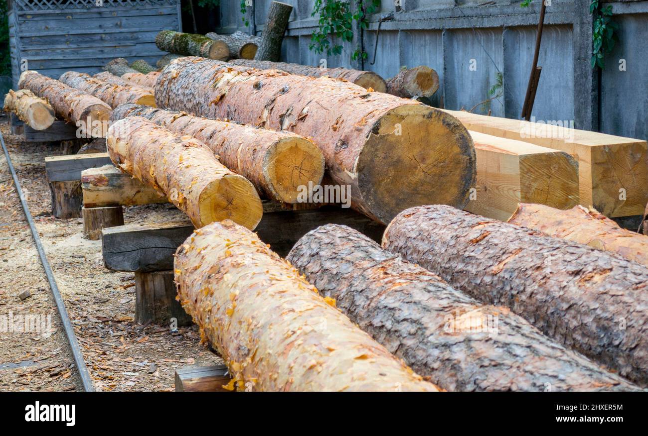 Sägewerk. Lager Holzstapel von Baumstämme aus Kiefer zum Sägen Balken  Bretter Schnittholz Stockfotografie - Alamy