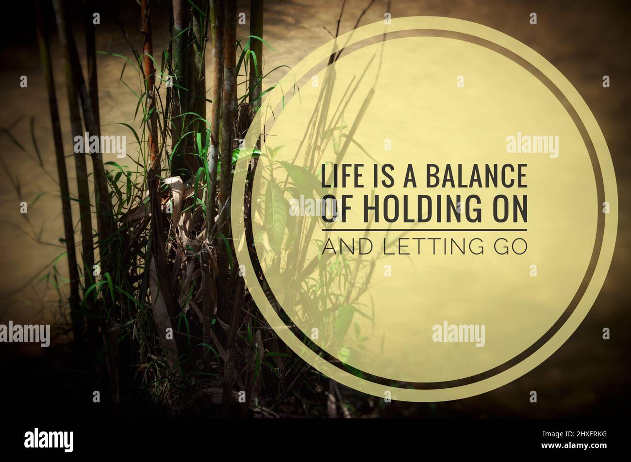Motivationszitat - Leben ein Gleichgewicht zwischen Festhalten und Loslassen. Mit Bambus und Wasser Hintergrund. Motivationskonzept Stockfoto