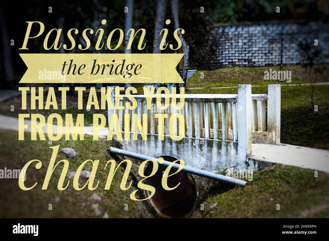 Motivations- und Inspirationszitat - Leidenschaft ist die Brücke, die Sie vom Schmerz zum Wandel bringt. Motivationskonzept . Mit unscharfem Brückenhintergrund Stockfoto