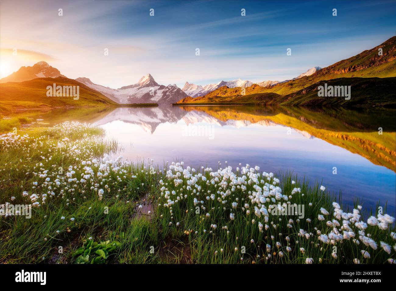 Tolle Aussicht auf Mt. Schreckhorn und Wetterhorn oberhalb des Bachalpsees. Dramatische und malerische Szene. Lage Ort Schweizer alpen, Berner Oberland, Grinsen Stockfoto