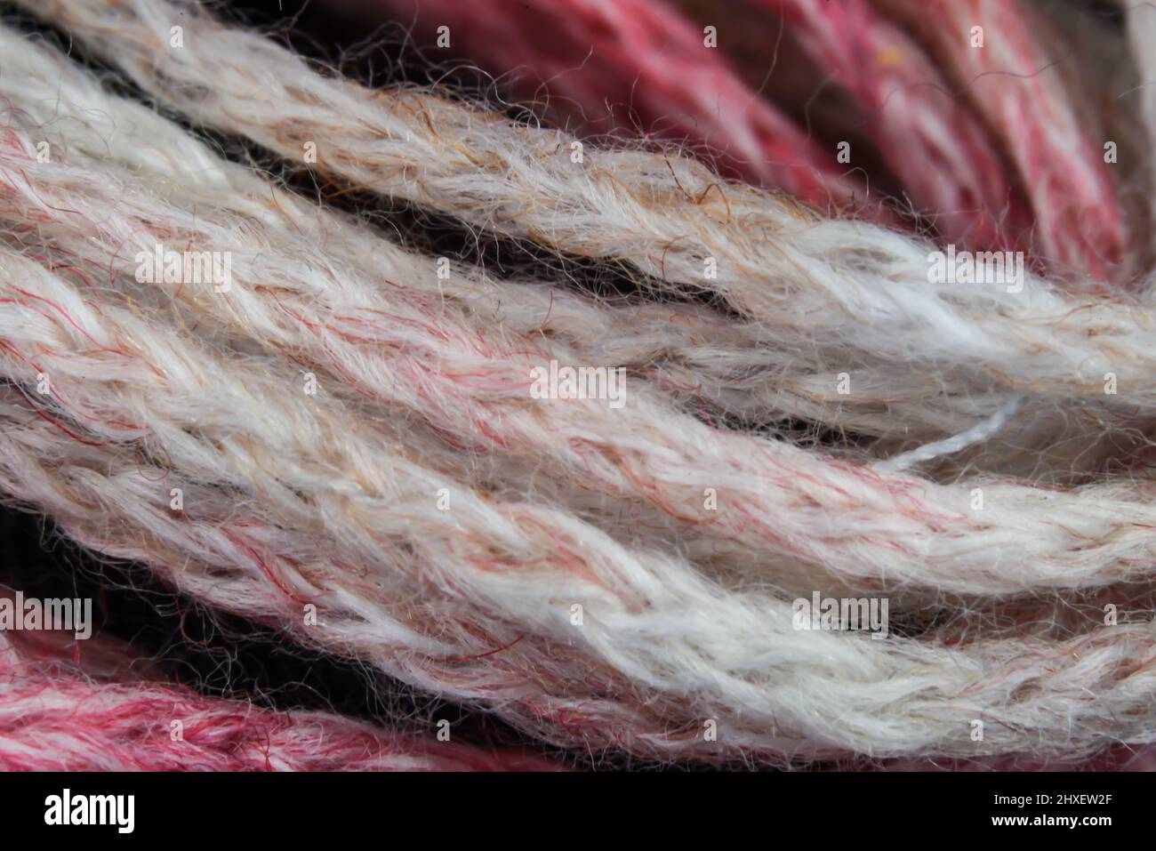 Niederlande, Februar 2022. Nahaufnahme von farbiger Wolle auf weißem  Hintergrund. Hochwertige Fotos Stockfotografie - Alamy