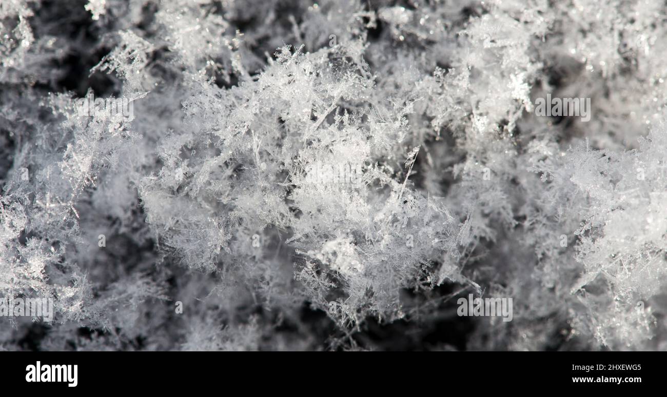 Schnee von Schneeflocken, Makrofoto von weißem Schnee im Winter, Schneetextur. Stockfoto