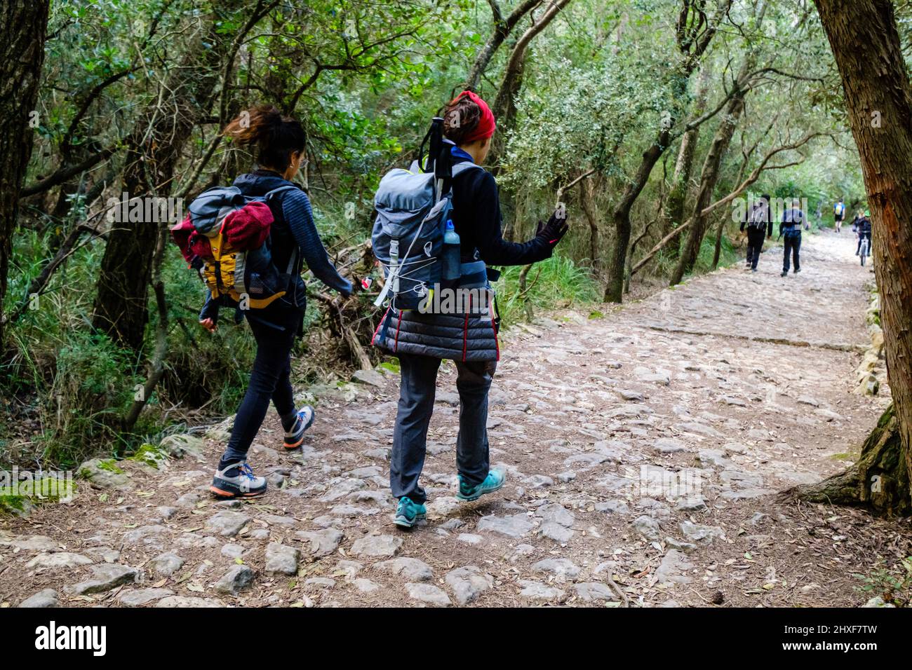 Camí des Correu Steinweg, königliche Straße mit mittelalterlichen Wurzeln aus dem Jahr 1401, Banyalbufar, Mallorca, Balearen, Spanien. Stockfoto