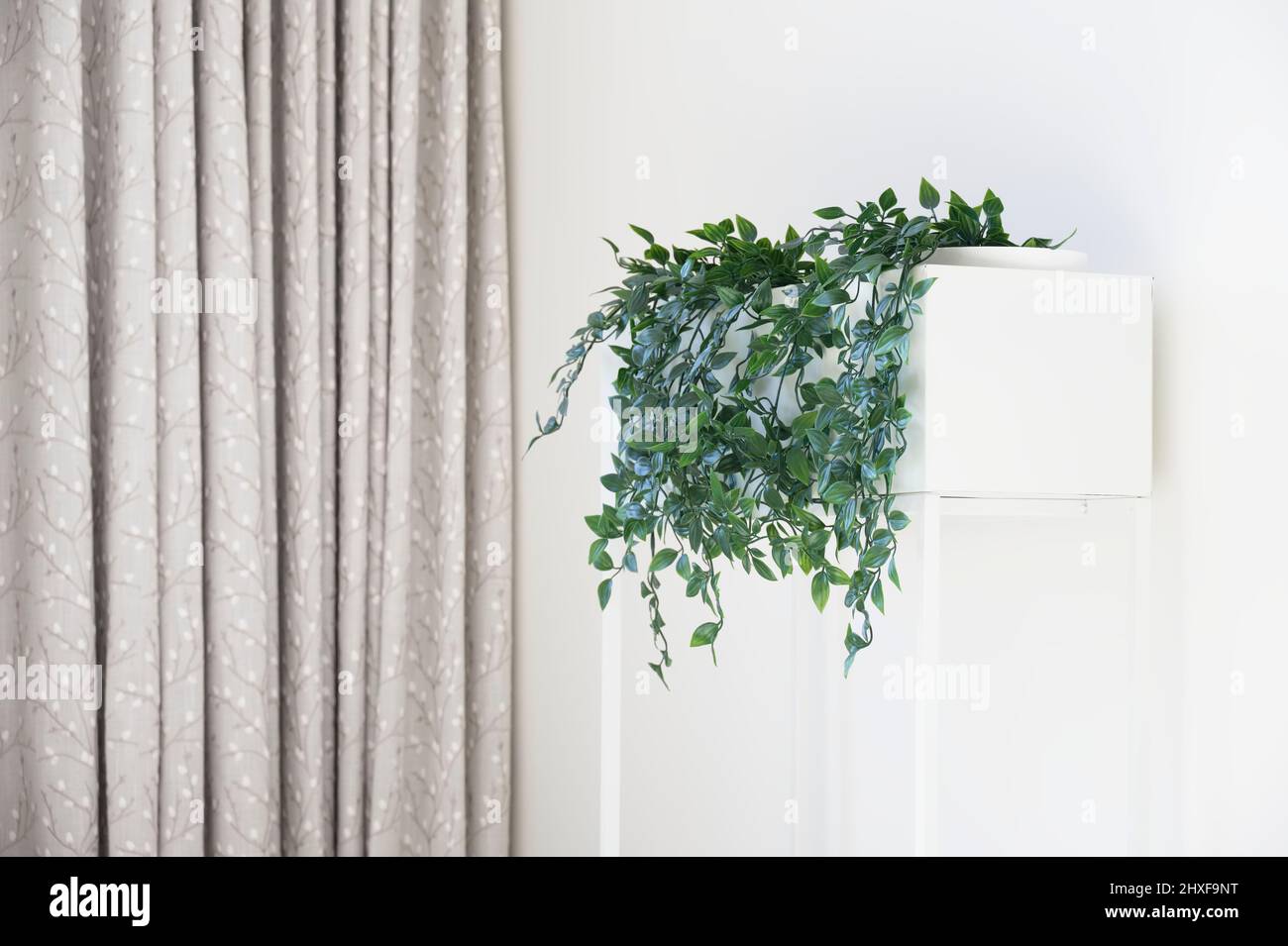 Ivy grüne Pflanze in weißen Pflanzenständer und neutrales Dekor zu Hause Stockfoto