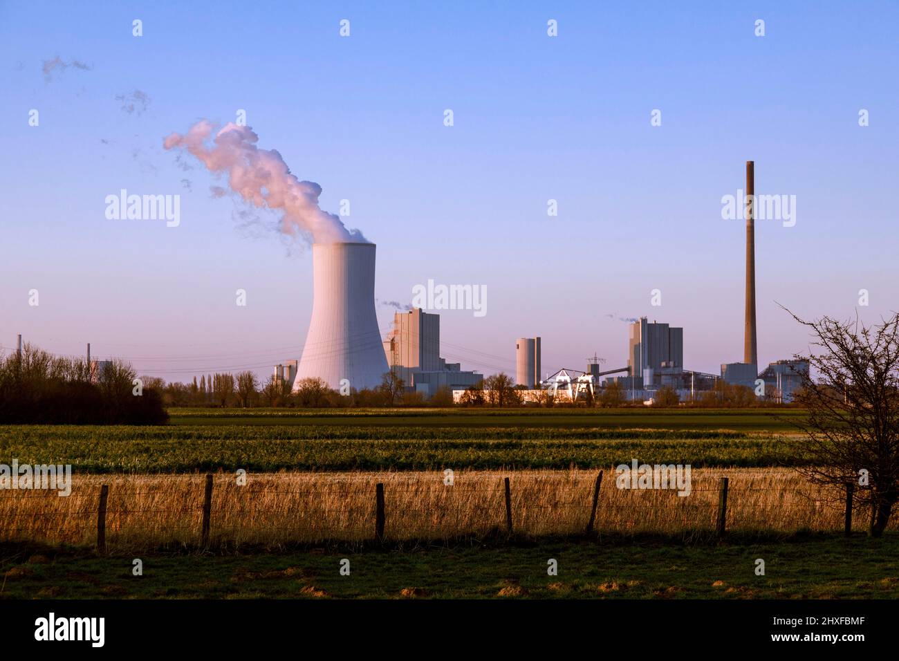 STEAG Blockheizkraftwerk Walsum, Kohlekraftwerk am Rhein Stockfoto