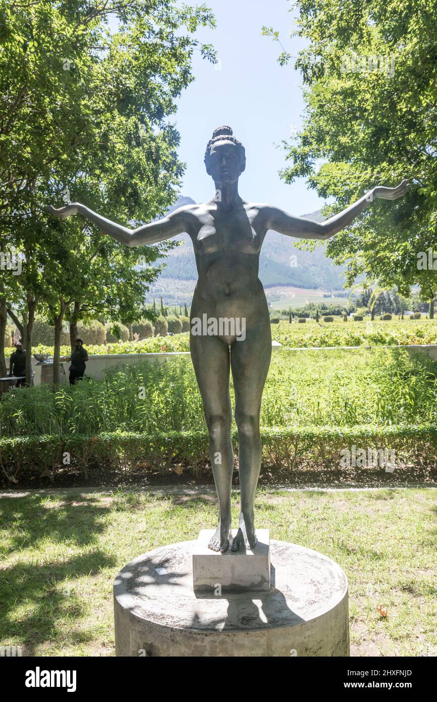 Skulptur Im Grand Provence Heritage Wine Estate Franschhoek Südafrika Stockfoto