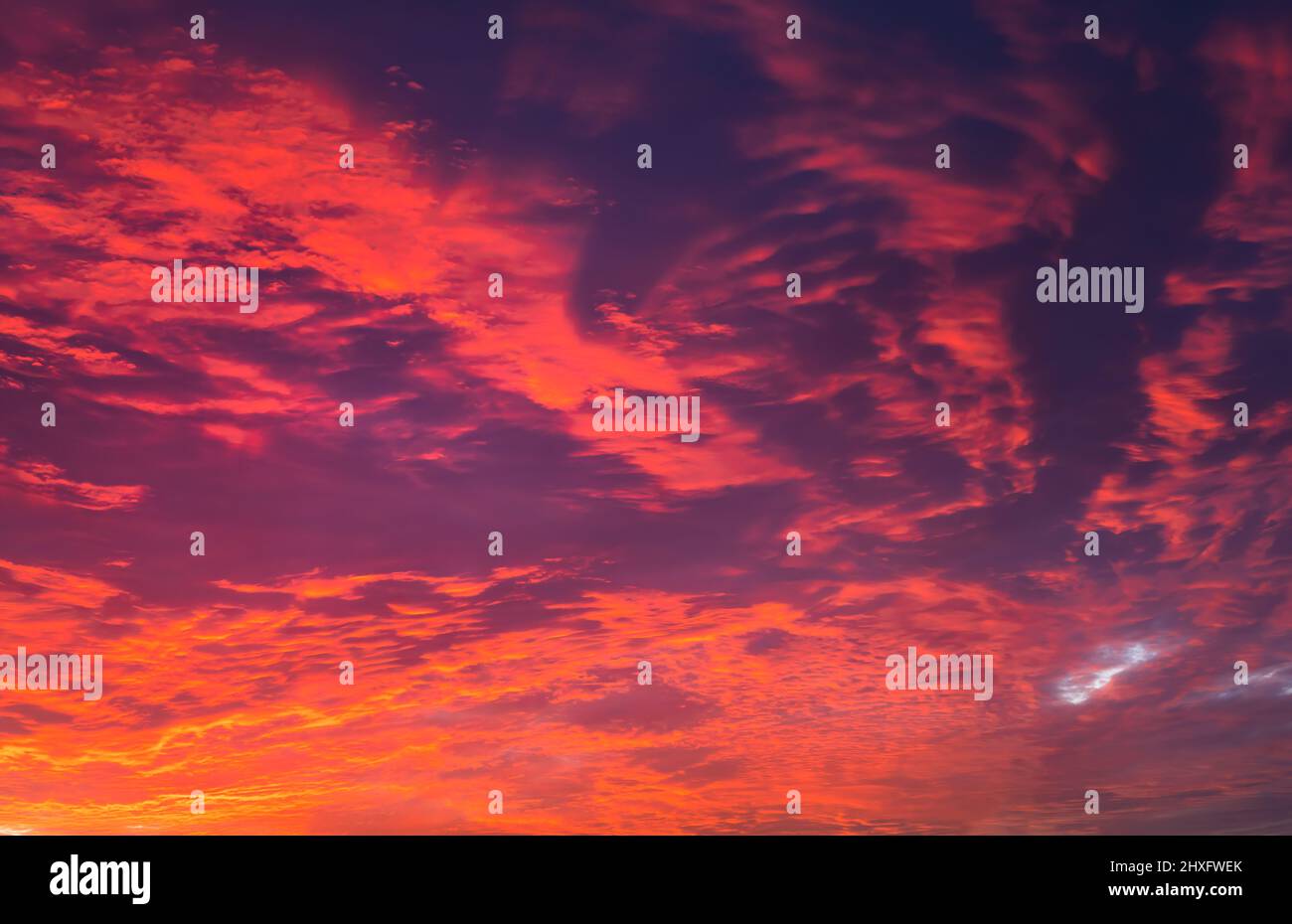 Himmel bei Sonnenuntergang Textur Hintergrund Overlay. Dramatische rote, orange, lila Wolken. Hochauflösende Fotografie, perfekt für den Austausch von Himmel Stockfoto