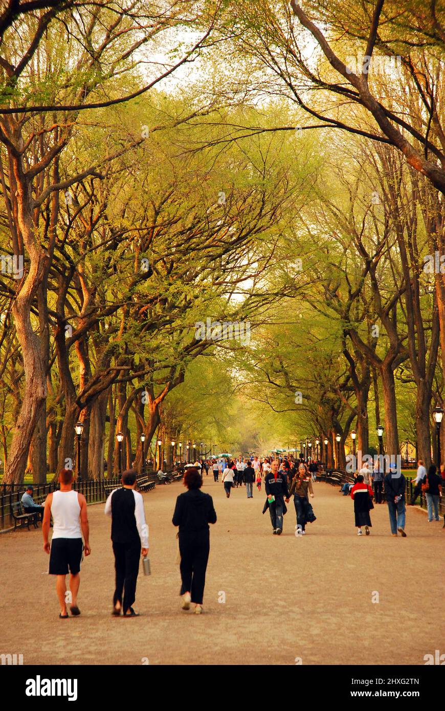 Die Menschen genießen einen Frühlingstag, wenn sie in der Mall im New Yorker Central Park spazieren gehen Stockfoto
