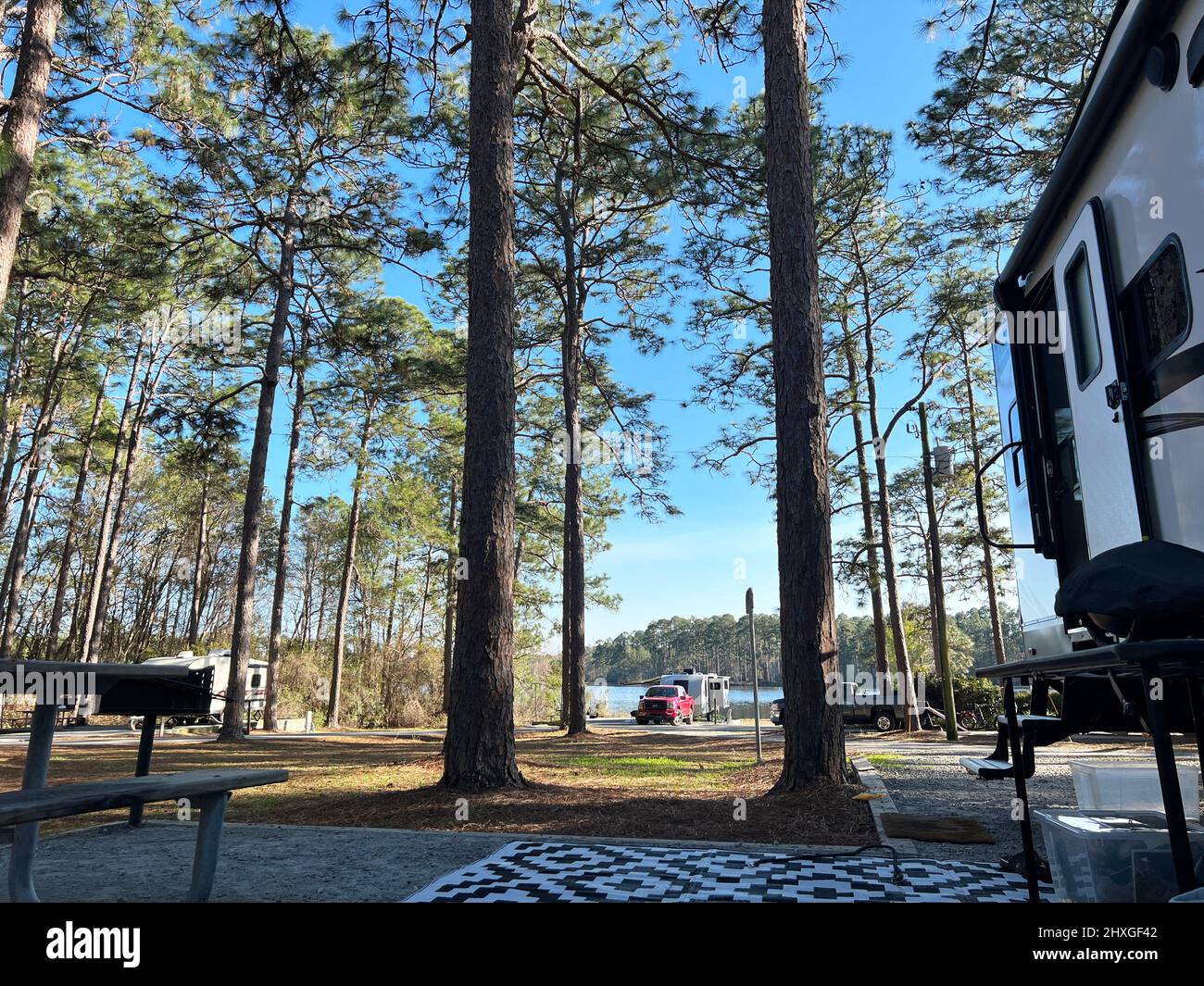 Blick auf den See von einem Campingplatz in einem Georgia State Park. Stockfoto