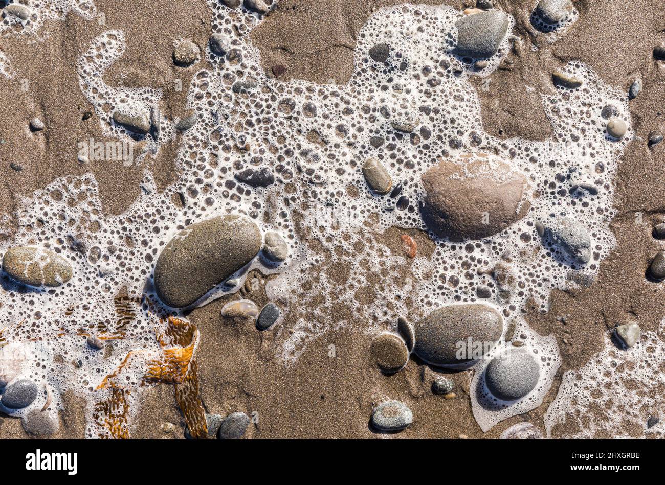 Details Zum Strand. Felsen und Meeresschaum an einem Sandstrand. Toleak Point Beach, Olympische Küste von Washington. Stockfoto