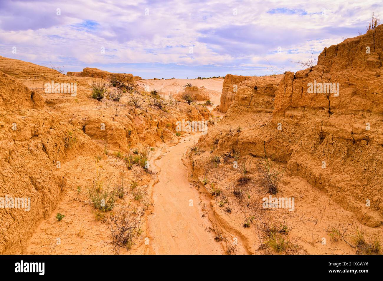 Tiefer, niedriger trockener Bach nach Wasserwegen in den Mauern chinas landschaftlich reizvolle erodierte Landschaft des Lake Mungo, Australien. Stockfoto