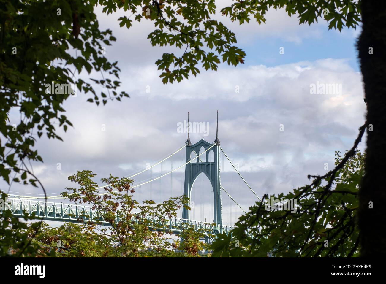 Die St. Johns Bridge ist eine Hängebrücke aus Stahl, die den Willamette River in Portland, Oregon, USA, zwischen dem Cathedral Park in der Nähe überspannt Stockfoto