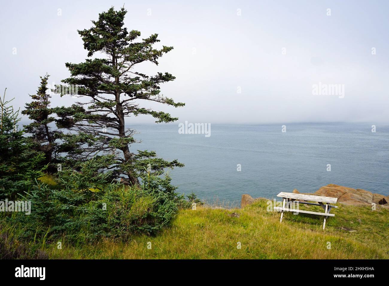 Verwitterter Picknicktisch mit Blick auf Bradford Cove an der Südwestküste von Grand Manan Island Stockfoto