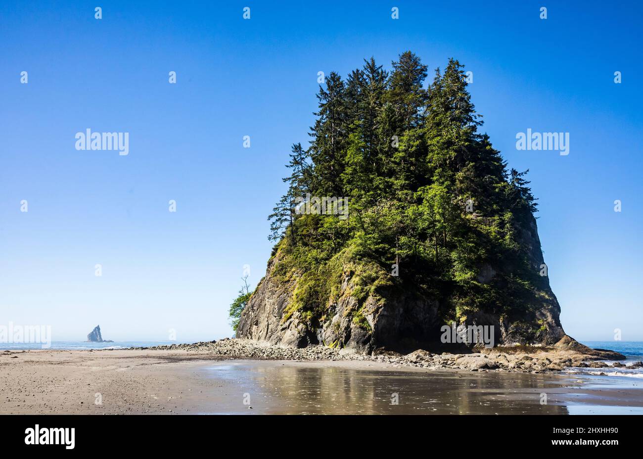 Felskümpeln und vorgelagerte Küsteninsel im Olympic National Marine Preserve und im Olympic National Park Coastal Strip, Washington, USA. Stockfoto