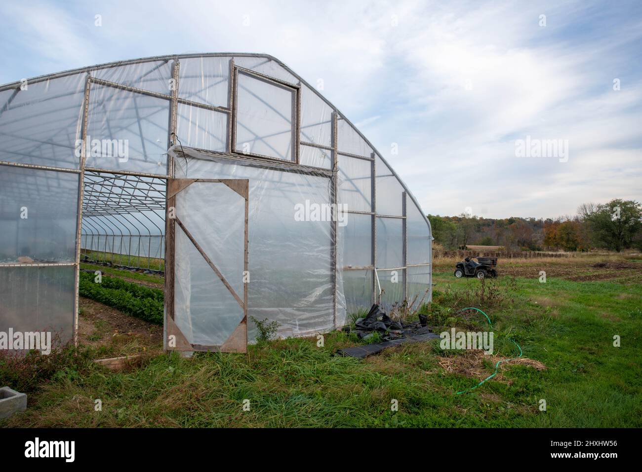 Gemüsegarten-Gewächshaus in ländlicher Farmszene mit Geländewagen Stockfoto