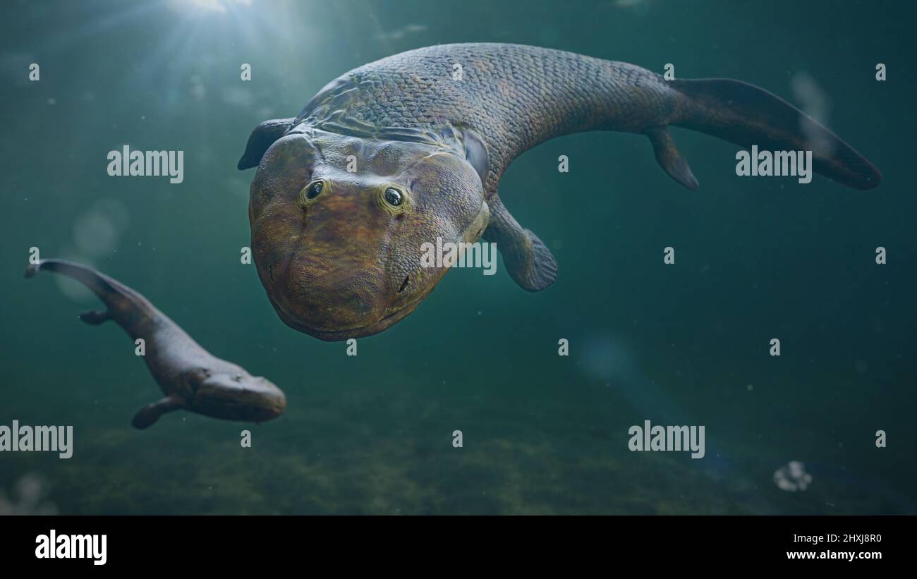 Tiktaalik, ausgestorbene Fische, die Evolution von vierbeinigen Tieren Stockfoto