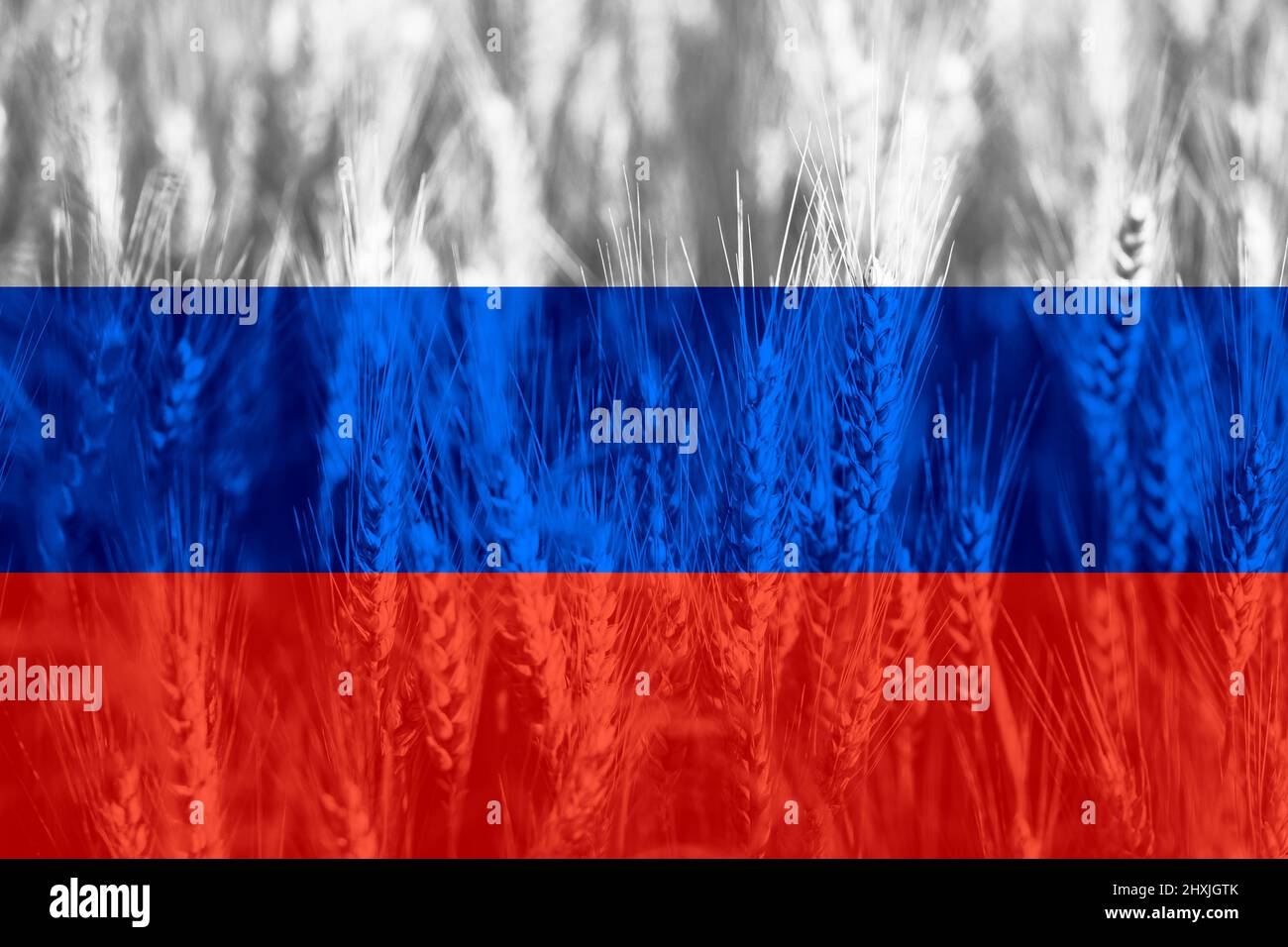 Weizenpreiserhöhung in Russland mit Flagge als Konzept. Stockfoto