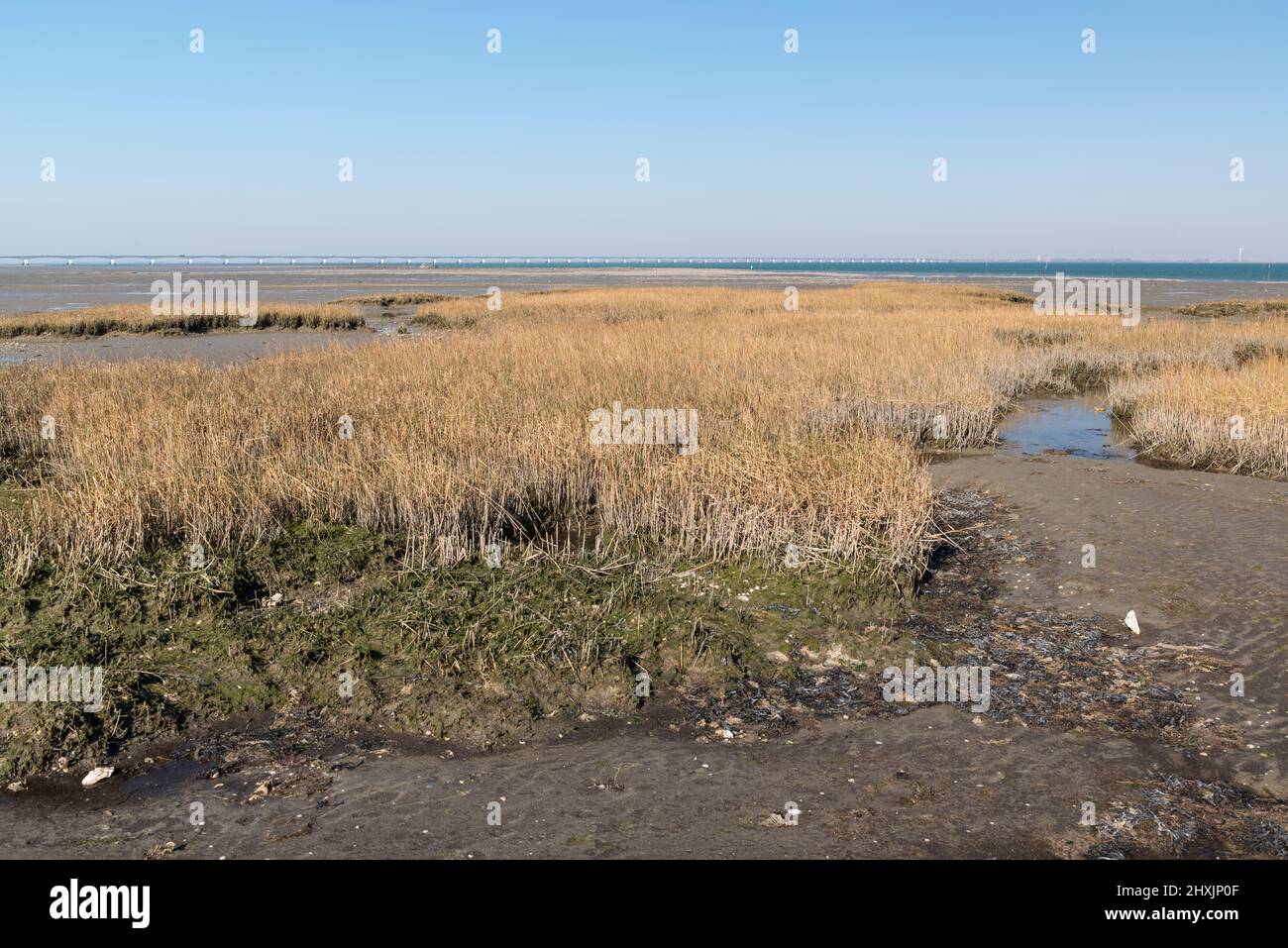 Wattmeer bei Ebbe. Zeeland Brücke im Hintergrund. Noord-Beveland, Zeeland, Niederlande Stockfoto