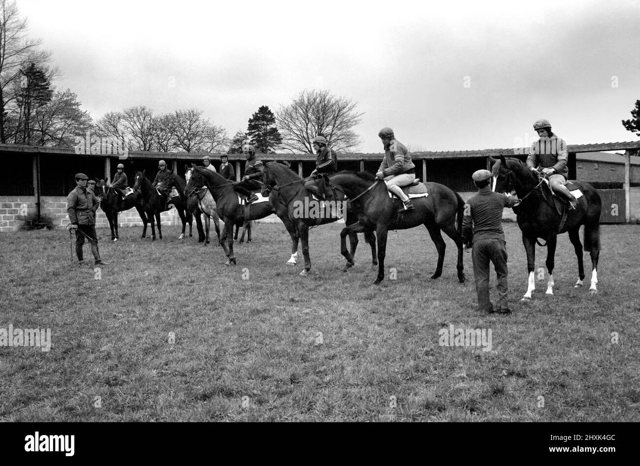 Jockey Willie Carson. „All the Queens Horses“. In West Ilsley steht Berks-Trainer Major W. R. Hern vor den 13 Pferden für die Queen. Von links nach rechts: Hintere Reihe Star Harbour; Circlet; Alma; Tartan Pimpernell; Dunfermline; Und Mary Fitton. Erste Reihe: Bewertung; Kette der Argumentation; Fife und Trommel; Herzog der Normandie; Rhyme Royal; Gesellig und Paintbrust. Der Mann 2. von rechts ist Stan Clayton, ehemaliger Jockey der Queen. 1977 77.-02213-002. April Stockfoto