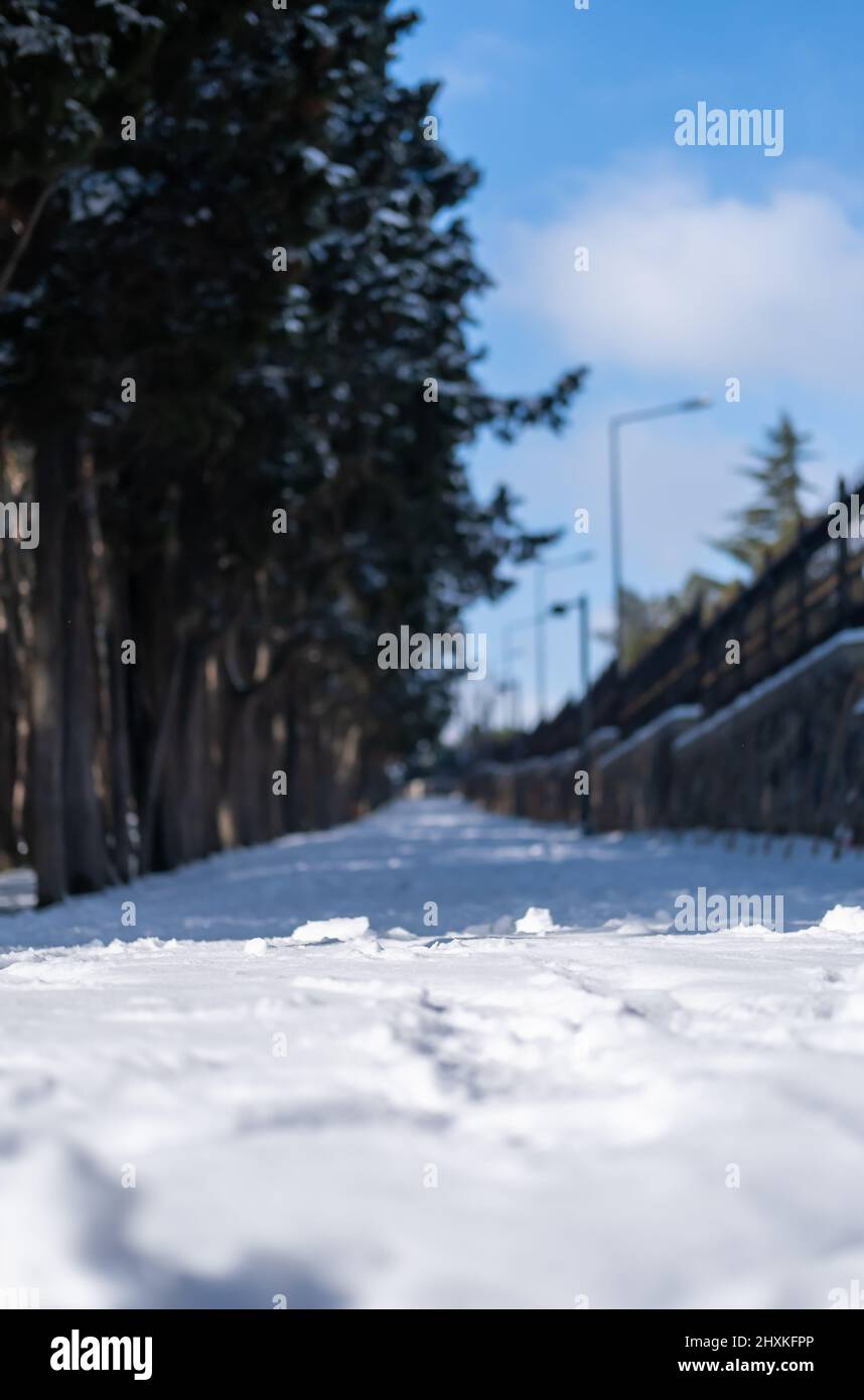 Schöne Tapete für den Winter. Schönes Foto von einem Wald mit Bäumen und dem Schnee überall. Tolle Landschaft Stockfoto